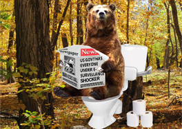 Do Bears Shit In The Woods